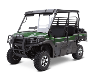 4 Seat Petrol Buggy