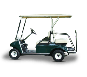 4 Seat Electric Buggy