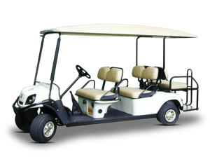 6 Seat Petrol Buggy