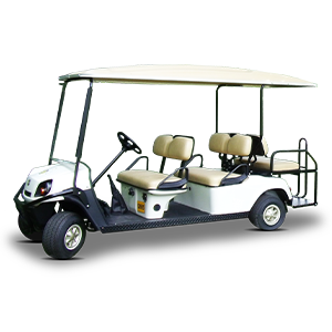 4-&-6-Seat-Buggy