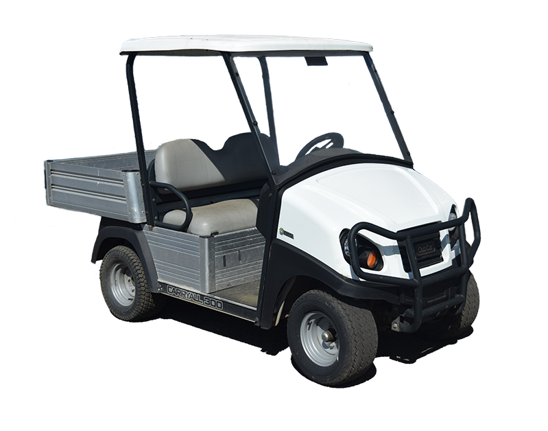 2 seat utility buggy